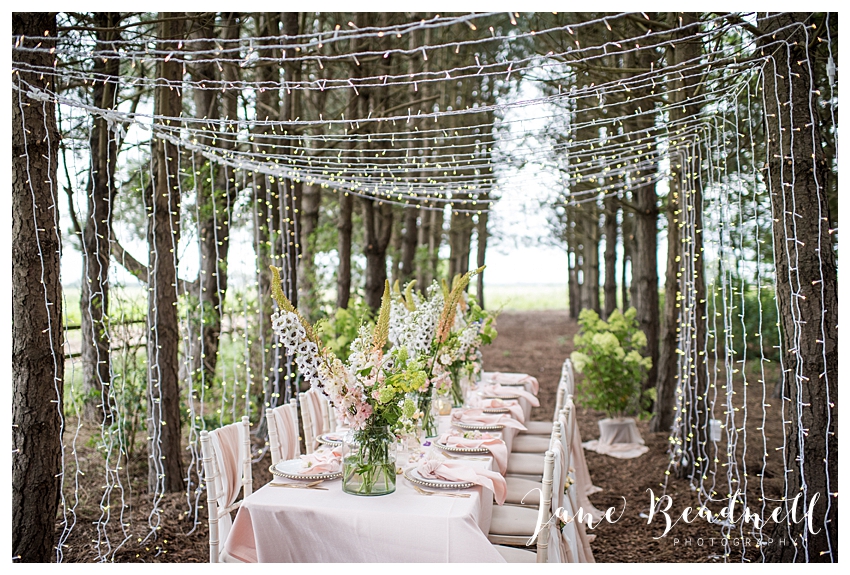 Bunny Hill Wedding by Jane Beadnell Photography